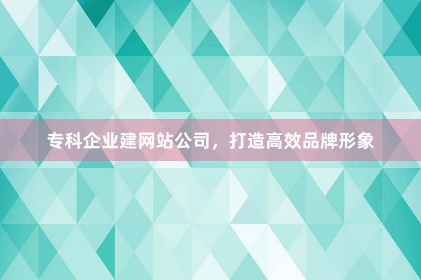 专科企业建网站公司，打造高效品牌形象